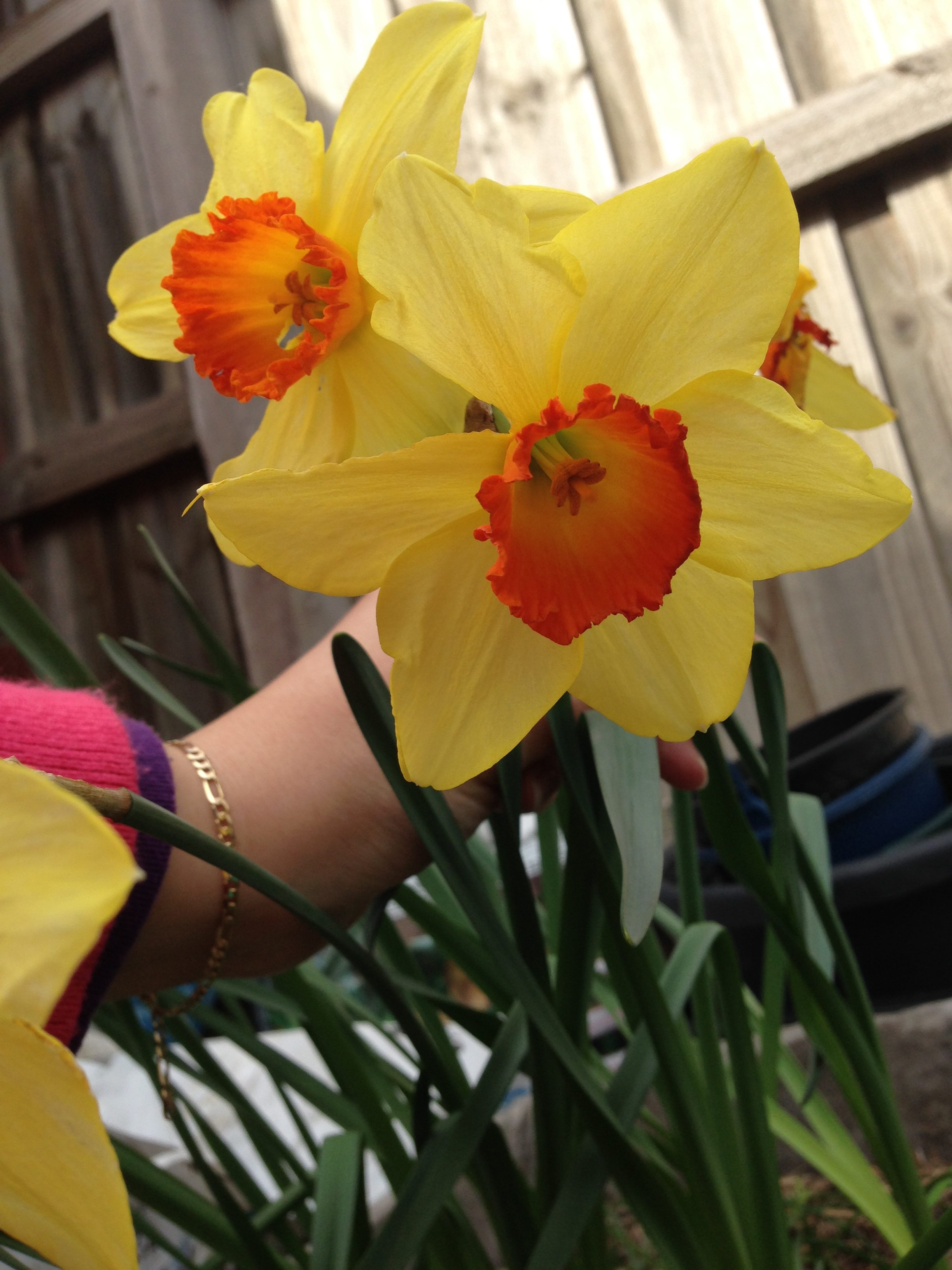 So yesterday was my due date a story of miscarriage